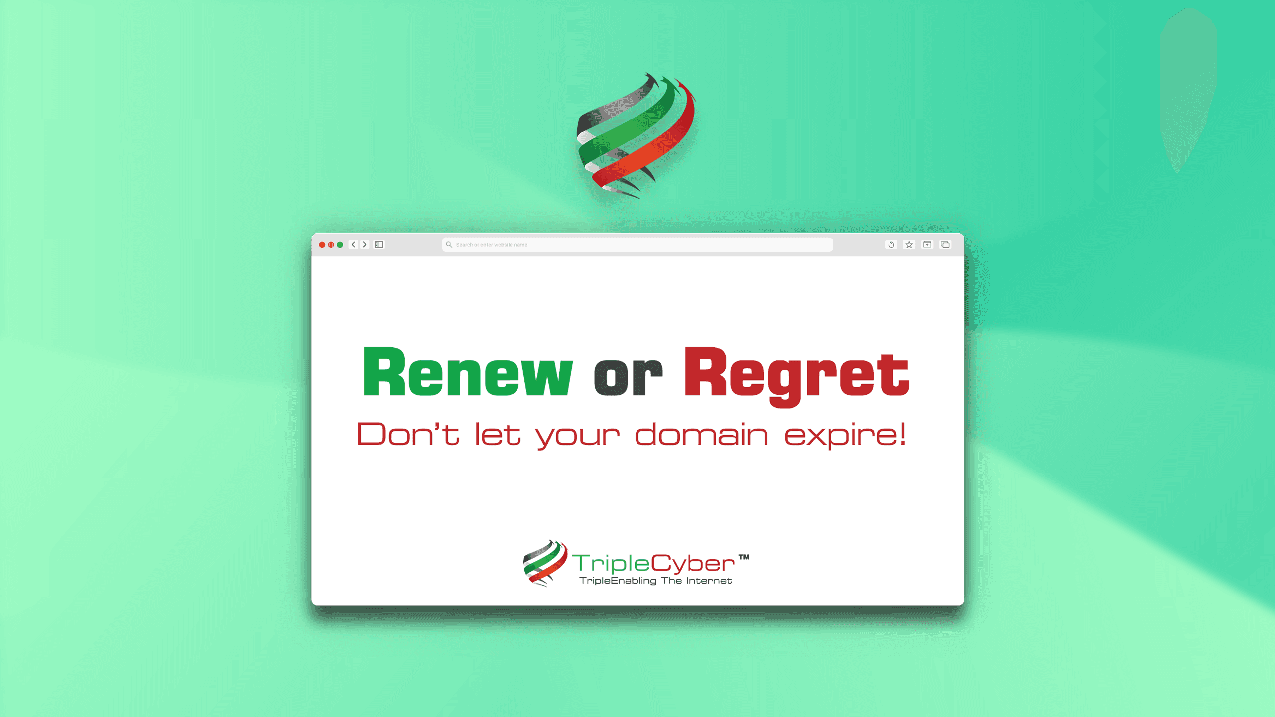 RENEW or REGRET: Expiring Domains Can Cost You Everything